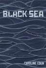 Image for Black Sea: dispatches and recipes : through darkness and light