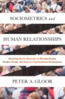 Image for Sociometrics and human relationships: analyzing social networks to manage brands, predict trends, and improve organizational performance