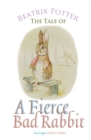 Image for The Tale of a Fierce Bad Rabbit