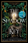 Image for The shadow key  : a novel in four branches
