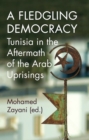 Image for A fledgling democracy  : Tunisia in the aftermath of the Arab uprisings