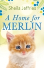 Image for A Home for Merlin