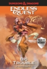Image for Dungeons &amp; Dragons Endless Quest: Big Trouble