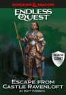 Image for Dungeons &amp; Dragons Endless Quest: Escape from Castle Ravenloft