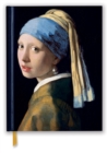 Image for Johannes Vermeer: Girl With a Pearl Earring (Blank Sketch Book)