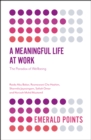 Image for A meaningful life at work  : the paradox of wellbeing