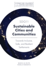 Image for SDG11 - sustainable cities and communities: towards inclusive, safe, and resilient settlements