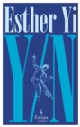 Image for Y/N  : a novel