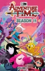 Image for Adventure timeSeason 11, volume 1
