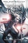 Image for Rivers of London: The Fey and the Furious #1