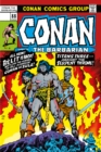 Image for Conan The Barbarian: The Original Comics Omnibus Vol.4