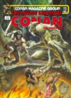 Image for The Savage Sword Of Conan: The Original Comics Omnibus Vol.6