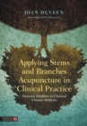 Image for Applying Stems and Branches acupuncture in clinical practice: dynamic dualities in classical Chinese medicine