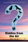 Image for Riddles from the Air