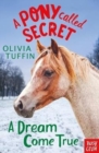 Image for A Pony Called Secret: A Dream Come True