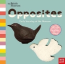 Image for Opposites  : early learning at the museum