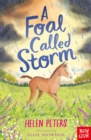 Image for A foal called Storm