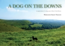 Image for A Dog on the Downs