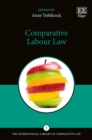 Image for Comparative labour law