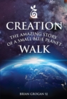 Image for The amazing story of a small blue planet  : a creation walk in 30 steps