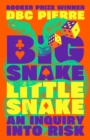 Image for Big snake little snake  : an inquiry into risk