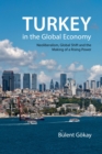 Image for Turkey in the Global Economy: Neoliberalism, Global Shift, and the Making of a Rising Power