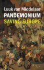 Image for Pandemonium: saving Europe