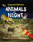 Image for Flashlight Explorer: Animals at Night
