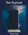 Image for The rupture  : on knowledge and the sublime