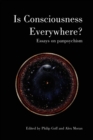 Image for Is Consciousness Everywhere?: Essays on Panpsychism