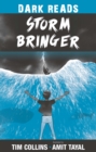 Image for Storm bringer