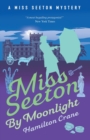 Image for Miss Seeton by Moonlight