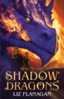 Image for Rise of the Shadow Dragons