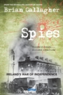 Image for Spies: Ireland&#39;s War of Independence : divided loyalties