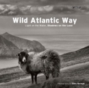 Image for Wild Atlantic way  : light on the water, shadows on the land
