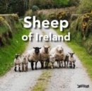 Image for Sheep of Ireland