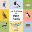 Image for My First Book of Irish Birds