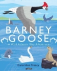 Image for Barney Goose  : a Wild Atlantic Way adventure