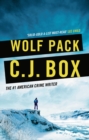 Image for Wolf pack : 19