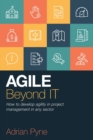 Image for Agile beyond IT  : how to develop agility in project management in any sector