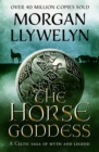 Image for The horse goddess: a Celtic saga of myth and legend