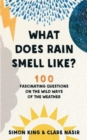Image for What does rain smell like?  : 100 fascinating questions on the wild ways of the weather