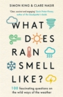 Image for What Does Rain Smell Like?