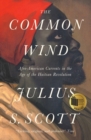 Image for The common wind  : Afro-American currents in the age of the Haitian Revolution