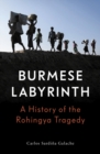 Image for The Burmese Labyrinth