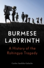 Image for Burmese Labyrinth
