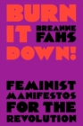 Image for Burn it down!  : feminist manifestos for the revolution
