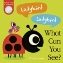 Image for Ladybird Ladybird what can you see?