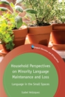 Image for Household perspectives on minority language maintenance and loss: language in the small spaces