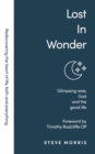 Image for Lost in Wonder